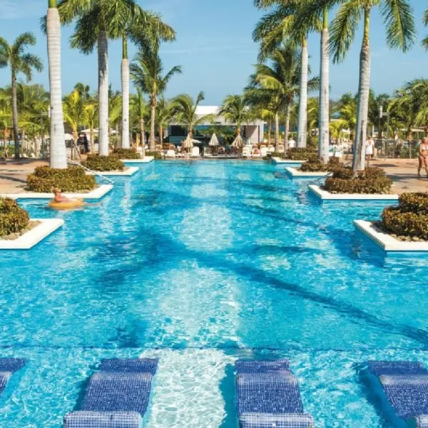 4924 secrets papagayo
