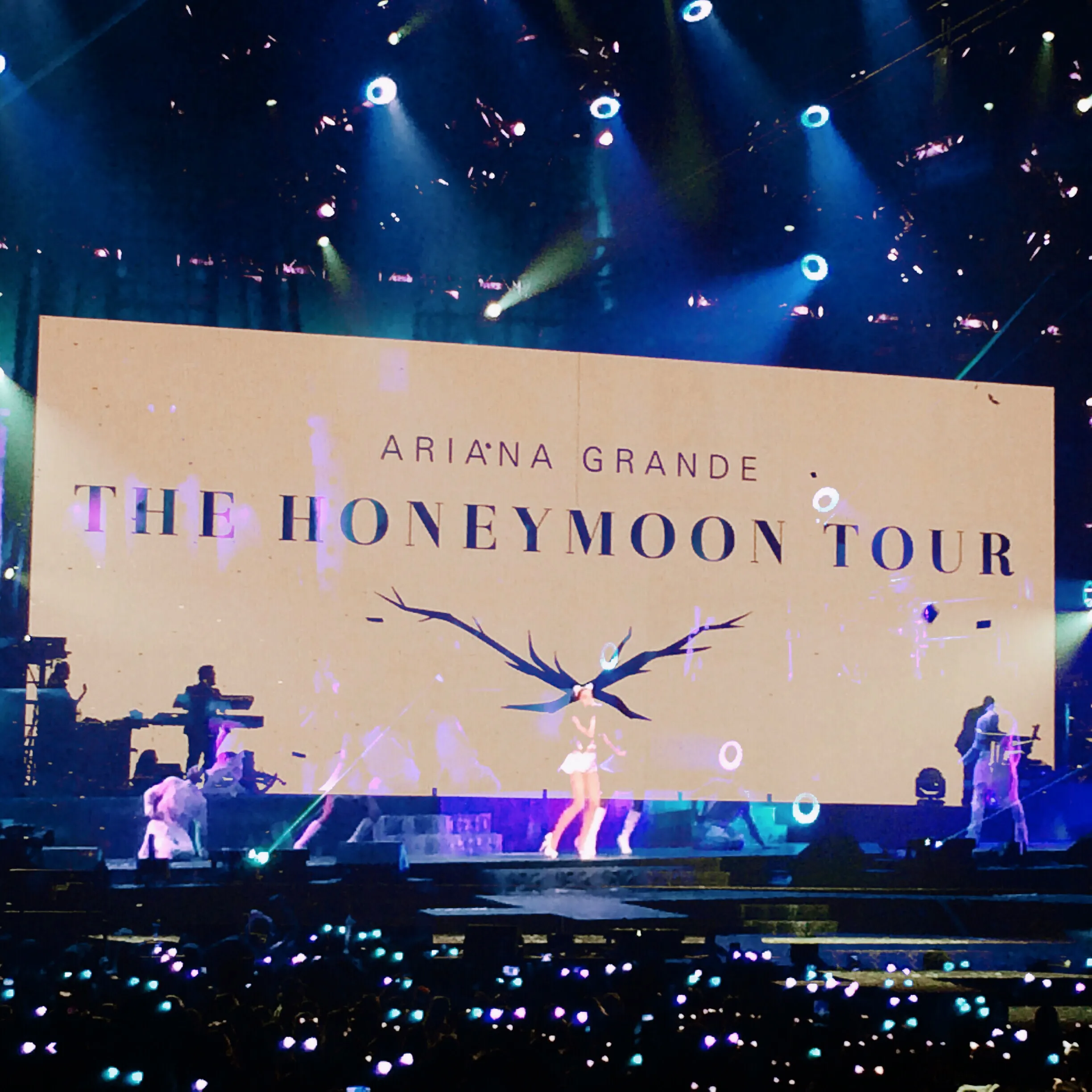 4925 ariana grande costume