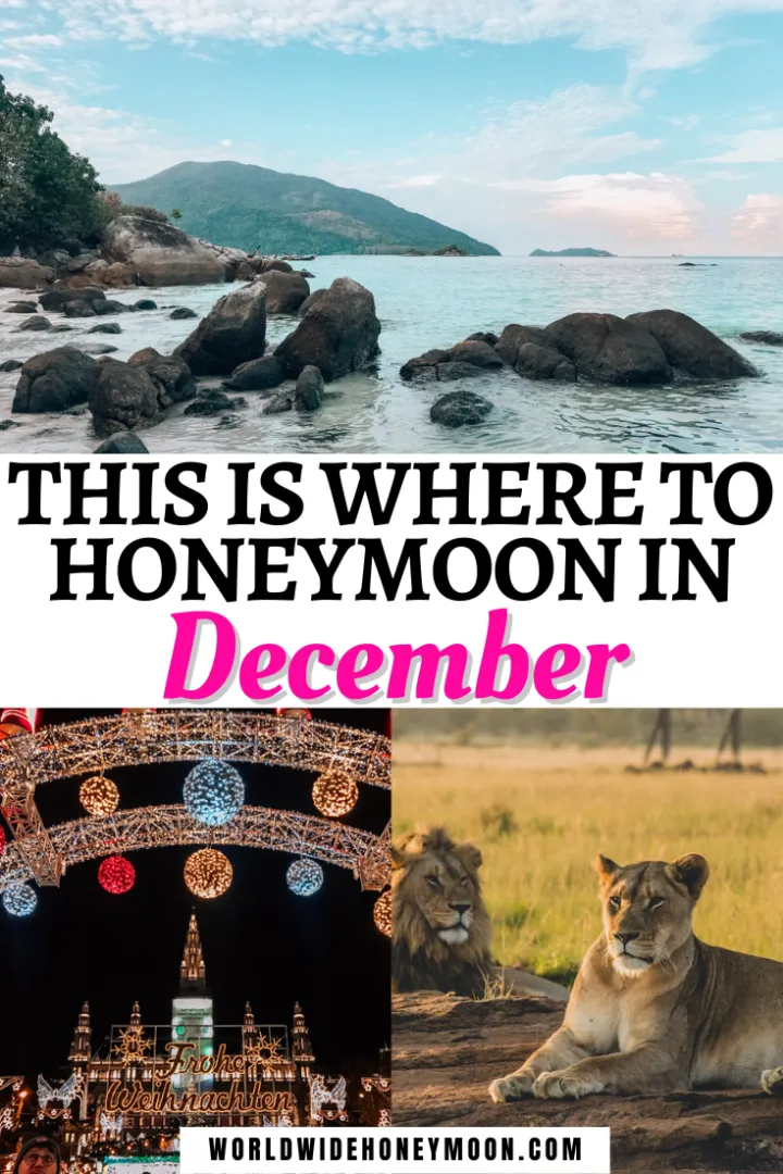 4936 maldives honeymoon
