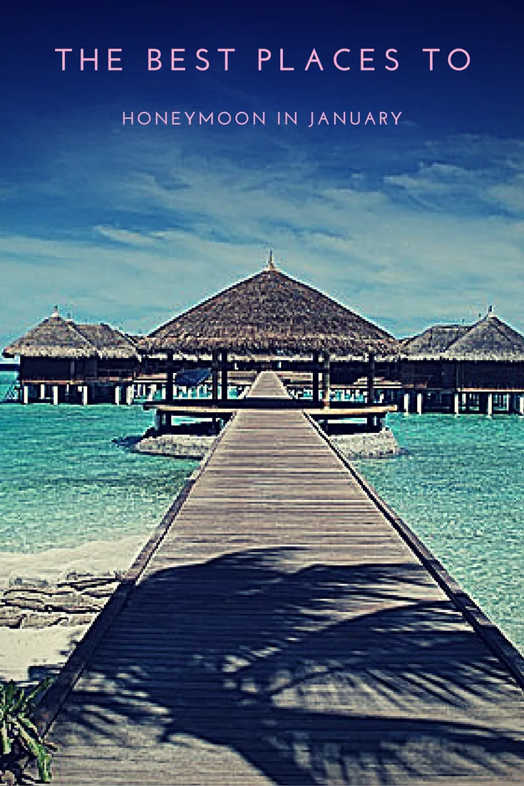 5011 bali honeymoon