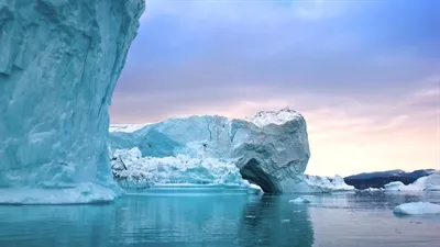 5014 greenland whale watching