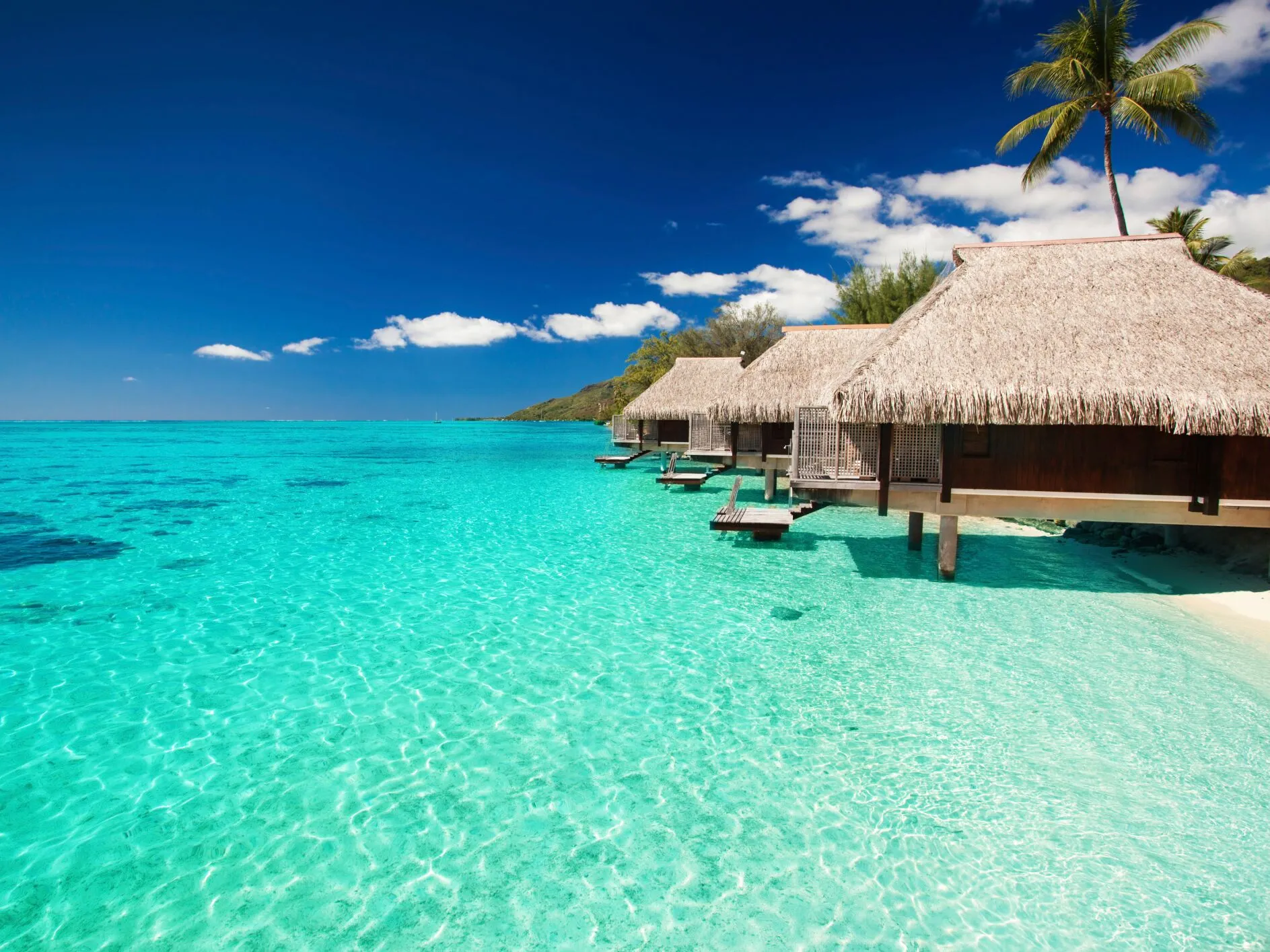5059 maldives honeymoon
