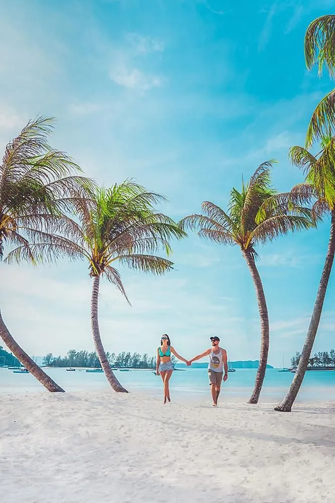 5151 romantic dinner beach